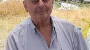 Samsun'da ayva ağacı kavgası cinayetle bitti