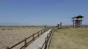 Kayseri'nin doğa hazinesi Sultan Sazlığı için koruma çağrısı