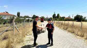 Yozgat'ta kaybolan 15 koyun jandarmanın takibiyle bulundu