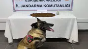 Eskişehir’de uyuşturucu operasyonu Bir kişi tutuklandı
