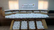 İstanbul jandarmasından dev uyuşturucu operasyonu