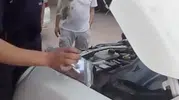Yalova’da sürücülerin bilmesi gereken hayat kurtaran kedi uyarısı