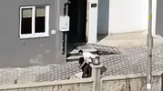Adana'da sokak ortasında kadına şiddet kameraya yansıdı