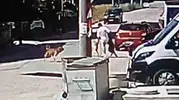 Tekirdağ'da köpek gezdirirken saldırıya uğrayan genç yaralandı