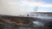 Anız yakmak toprağı öldürüyor, uzman çiftçiye alternatifi anlattı
