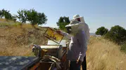 Gercüş'ün dağlarında bal bereketi başladı