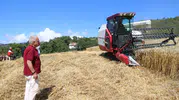 Ordu'da tarlalar makineleşiyor