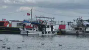 Tekirdağlı balıkçılar bu gece vira bismillah diyor