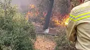 Buca'da orman yangını başladı