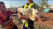 Reyhanlılı çocukların göç yolundaki misafiri