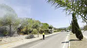 Erdek’te yol kenarında başlayan yangın ormana sıçramadan söndürüldü