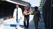 Düzce’de 359 sokak hayvanı yeni yuvasına kavuştu