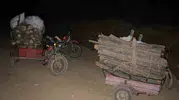 Hassa ormanlarını talan edenlere suçüstü yapıldı