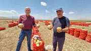Karamanlı çiftçinin yüzü bu yıl soğanla gülüyor