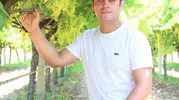 Üzüm üreticisinin yüzünü güldürecek yeni formül
