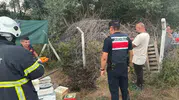 Bilecik Pelitözü yolunda korkutan yangın büyümeden engellendi