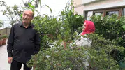 Rize’deki balkonu botanik bahçesine çeviren çift