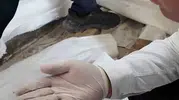 Hatay'da fırın baskını Fare yuvası ve paslı keser çıktı