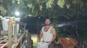Manisa'da üzüm üreticisi pazara yetişmek için gece bağa girdi