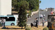 Karabük'ün kavşakları yeşilleniyor, 200 ağaç dikiliyor