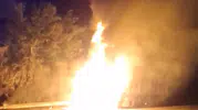 Diyarbakır'da gece yarısı tır yangını paniği
