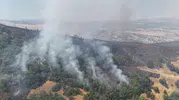 Tunceli ormanlarını alevler sardı
