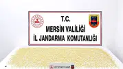 Mersin'de uyuşturucu operasyonu