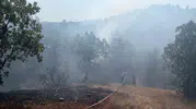 Bursa Büyükorhan ormanlarında çıkan yangın söndürüldü