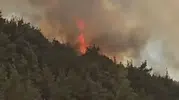 Sındırgı ormanlarında alevlerle zorlu mücadele