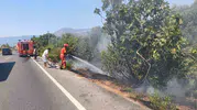 Ula'da kuru otlar alev aldı, itfaiye yangını büyümeden söndürdü