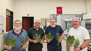 Aydın’da bitkilerin şifasını laboratuvar ortamında keşfediyorlar