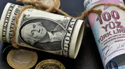 Alman devinden Türk lirası için korkutan tahmin: Dolar o tarihte rekor kıracak