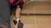 Çankırı'da asma tavanın içine sıkışan kedileri itfaiye kurtardı