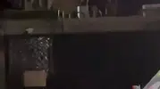 Sarıyer'de Dehşet Anları Konteynere Çıkıp Polise Saldırdı, Başından Yaraladı