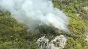 Çıralı ormanlarında yangın paniği