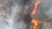 Nilüfer'de ot yangını ormana sıçradı, 2 uçak 4 helikopter havadan müdahale ediyor