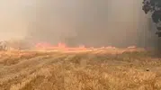 Rüzgarın etkisiyle büyüyen anız yangını Eskipazar'da panik yarattı