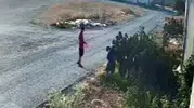 Sahildeki yazlıkçılar bahçelere dadandı, kamera kaydetti