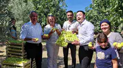 Çinli fenomen çiftten Buharkent'te incir hasadı Dalından yedikleri sarı lop ile tanıtım elçisi oldular