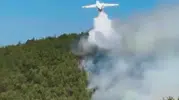 Balıkesir Susurluk’ta orman yangını yeniden alevlendi