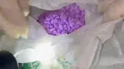 Kuzey Marmara Otoyolu'nda uyuşturucu operasyonu