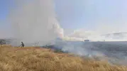 Eskişehir’de arazi yangını korkuttu