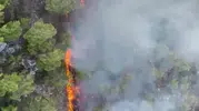 Kemer Çıralı’da orman yangını paniği