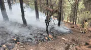 Kahramanmaraş'ta orman yangını Ekipler alevlere havadan ve karadan müdahale ediyor