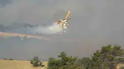 Çanakkale ormanları iki ayda küle döndü