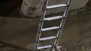 İzmit'te dereye düşen kedi kurtarma ekibine iş bırakmadı