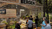 Acıların sesi Bergen Mersin'de mezarı başında anıldı