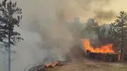 Bolu Göynük ormanlarında çıkan yangın ekipleri harekete geçirdi