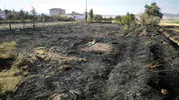 Sivas Altınyayla’da bahçe yangını evlere ulaşmadan durduruldu