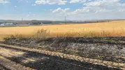Yozgat Sorgun’da elektrik telleri tarlayı küle çevirdi